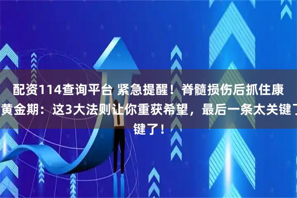 配资114查询平台 紧急提醒！脊髓损伤后抓住康复黄金期：这3大法则让你重获希望，最后一条太关键了！